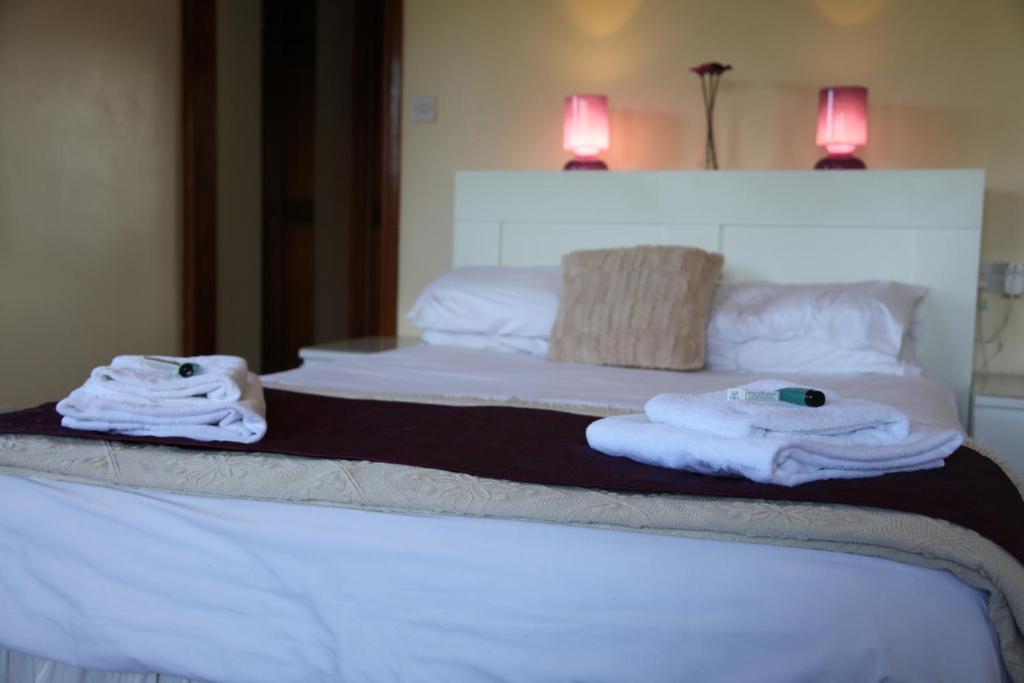 Hanmer Arms Chambre photo